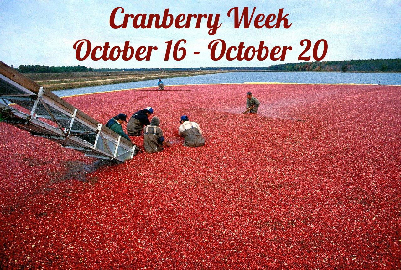 Welcome to #CranberryWeek where we celebrate all things made with those tastily tart, red berries! 