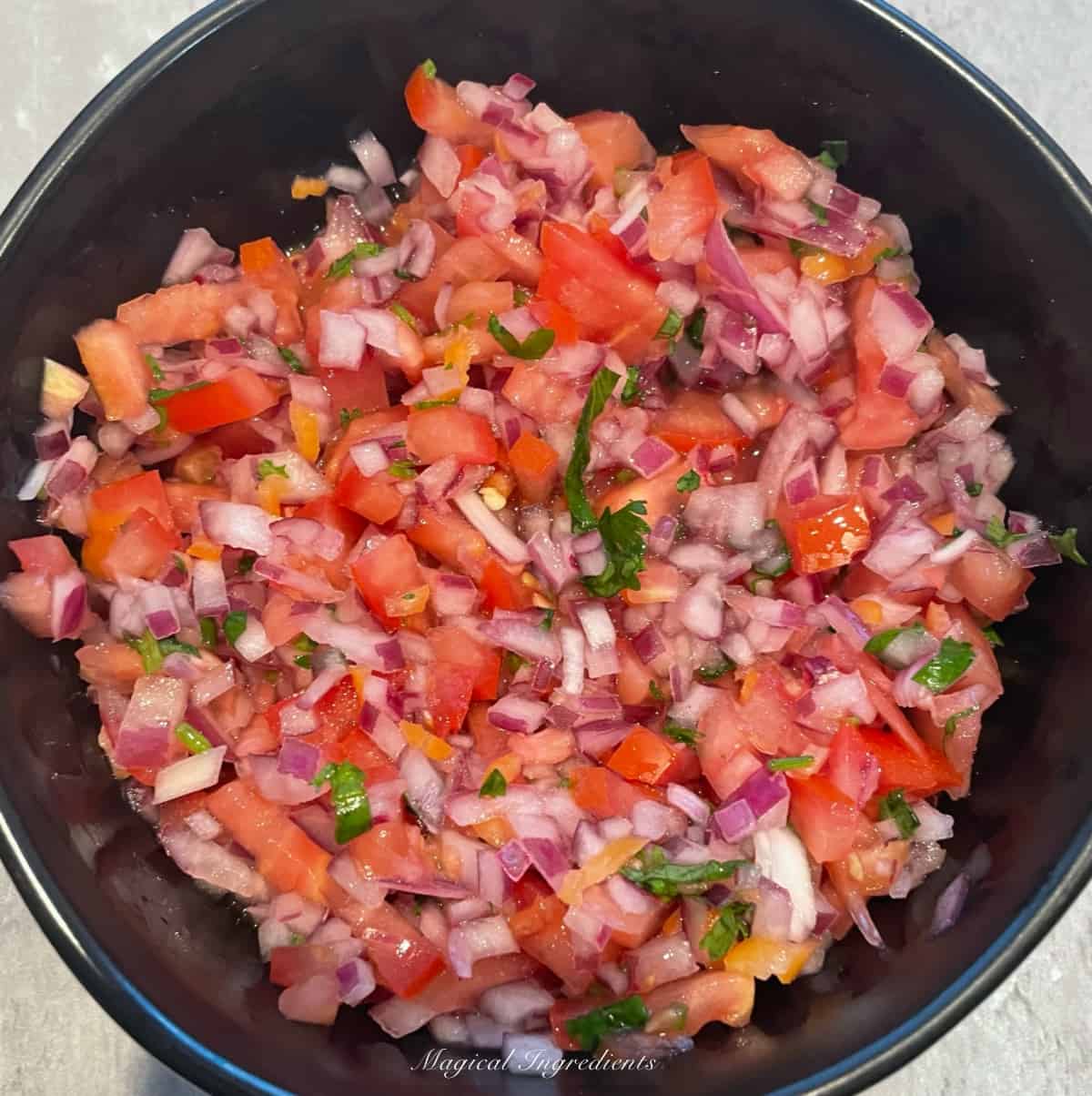 Xnipec salsa with tomatoes