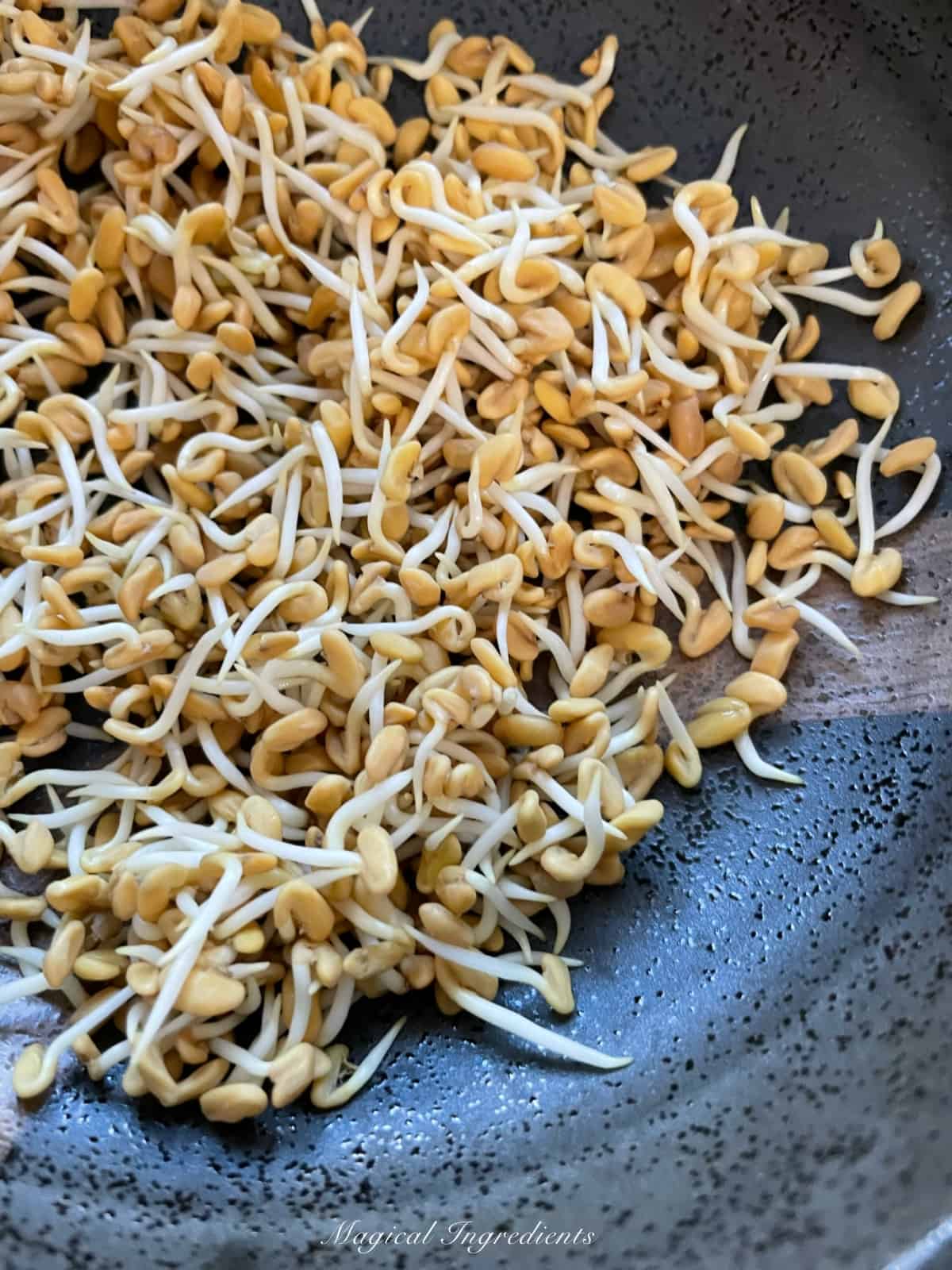 Fenugreek/methi sprouts