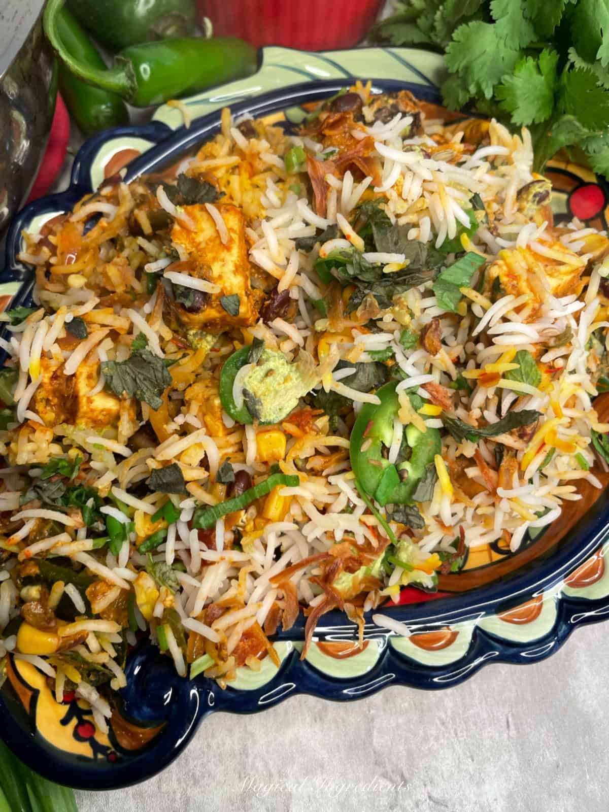 Plate with chipotle paneer biriyani